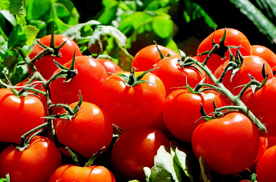 Nos aliments fétiches pour être en pleine forme