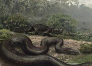 titanoboa